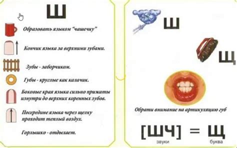 Обучение правильной артикуляции и произношению звуков