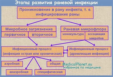 Общая реакция организма при инфекции