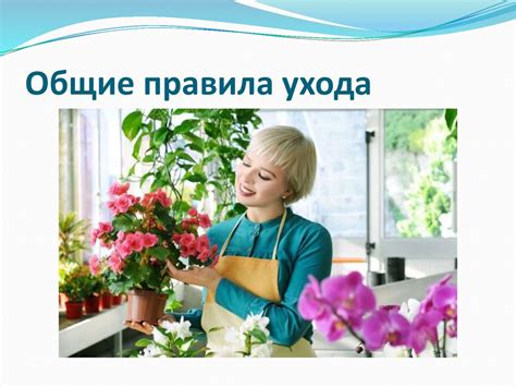Общие правила ухода