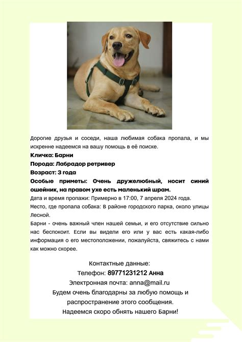 Объявление о пропаже на специализированных сайтах