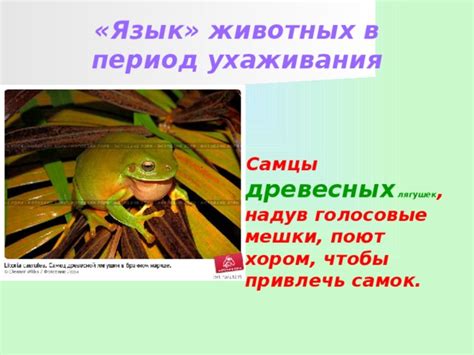 Объяснение: Язык древесных существ