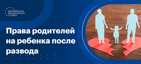 Обязанности после развода