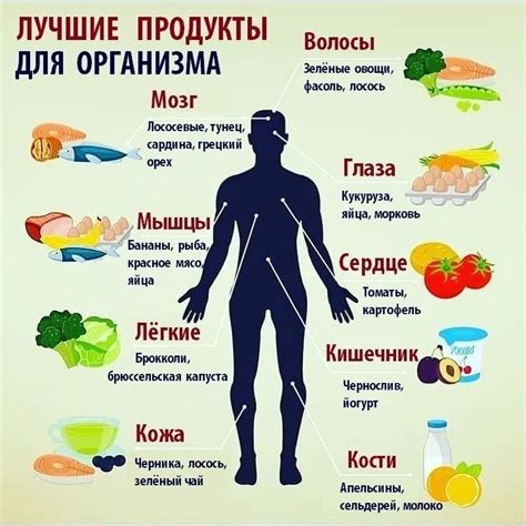 Овощи для стабилизации организма