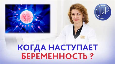 Овуляция и беременность: важность определения процесса при планировании