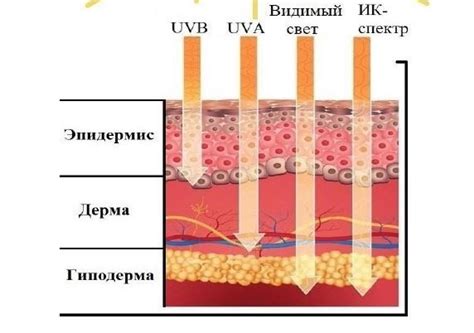 Ограничение воздействия ультрафиолетовых лучей