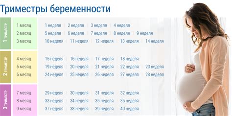 Ограничения и риски при полетах в первом триместре