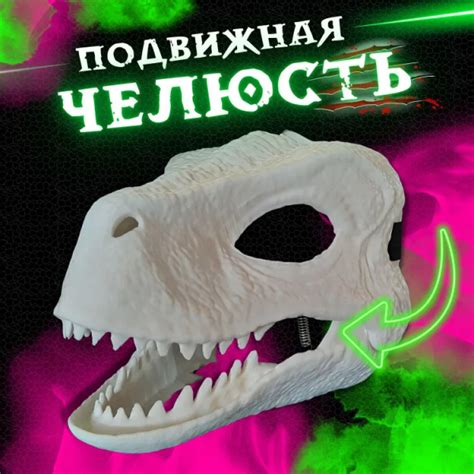 Ограничения эффективности раптора