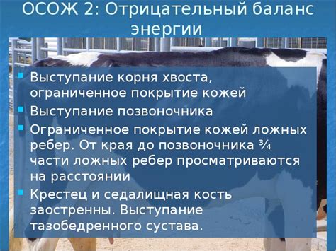 Ограниченное покрытие