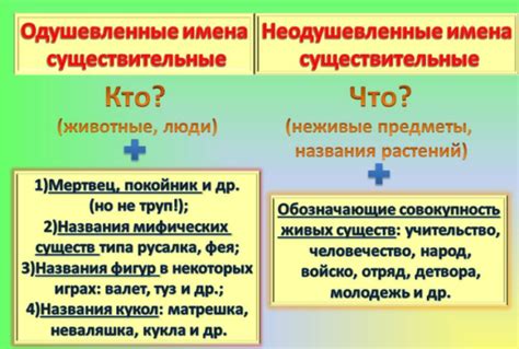 Одушевленность и неодушевленность: определение по падежам