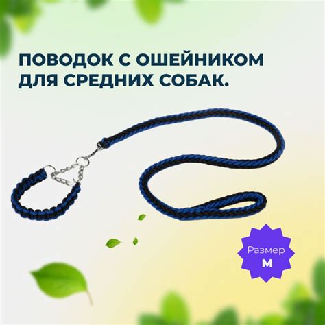 Ознакомление с ошейником