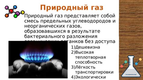 Окаменение органических останков: