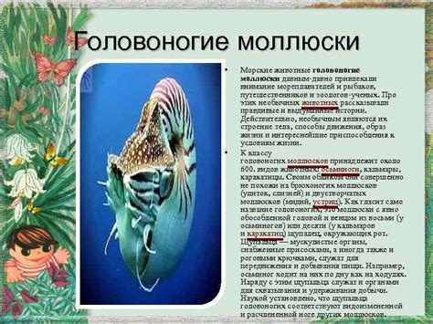 Океан: путеводная сила мореплавателей, рыбаков и ученых