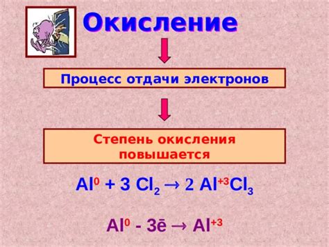 Окислительные процессы и потеря сока при квашении