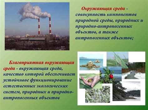 Окружающая среда и использование