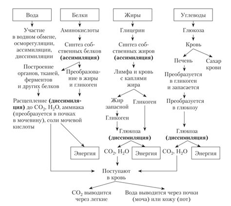 Оксидация крахмала и пищевых веществ