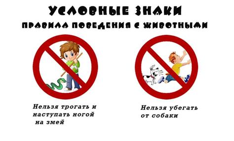 Опасности и последствия для кота