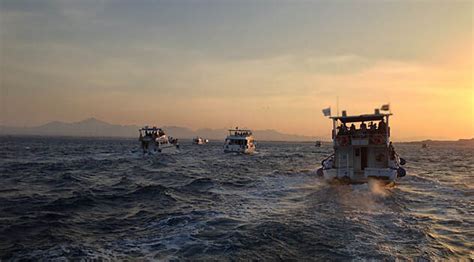 Опасности ночного плавания в Красном море