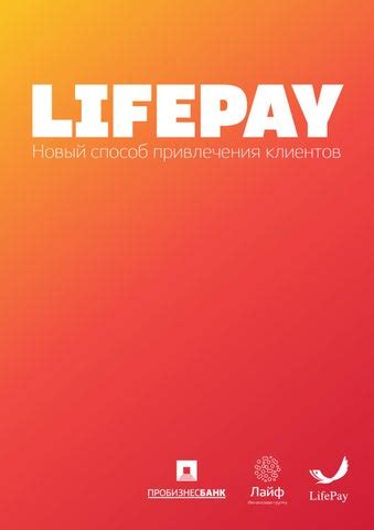 Описание Lifepay мобильного терминала