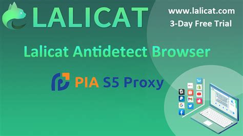 Описание PIA Proxy