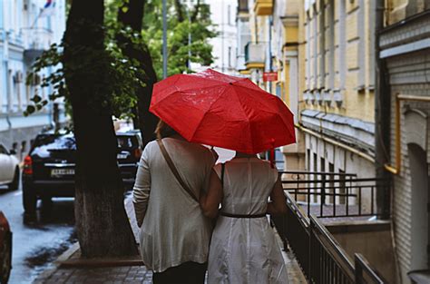 Определение вероятности дождя в прогнозе Яндекса