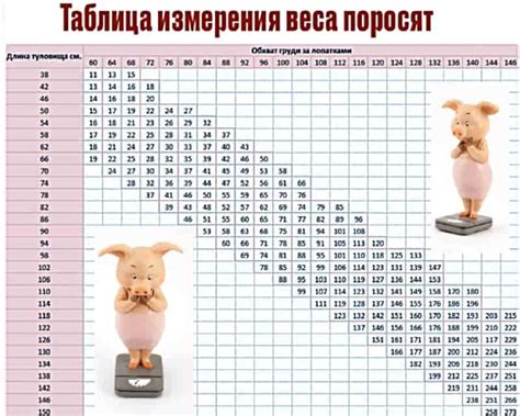 Определение живого веса теголютей