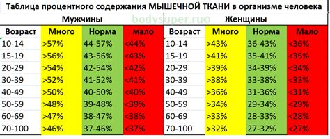 Определение жира по телосложению