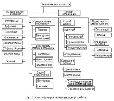 Определение и основные характеристики виолы