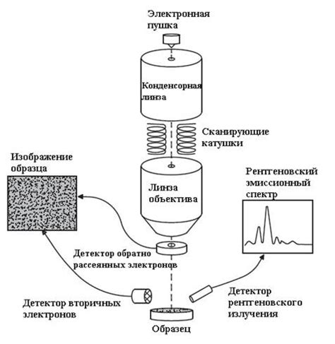 Определение и применение электронного микроскопа