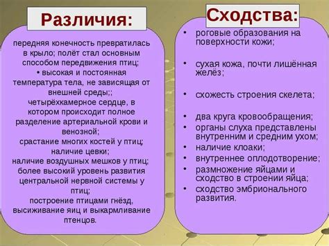 Определение и разница