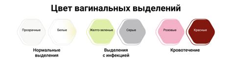 Определение и типы выделений