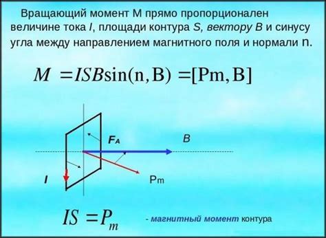 Определение контура трясогузки