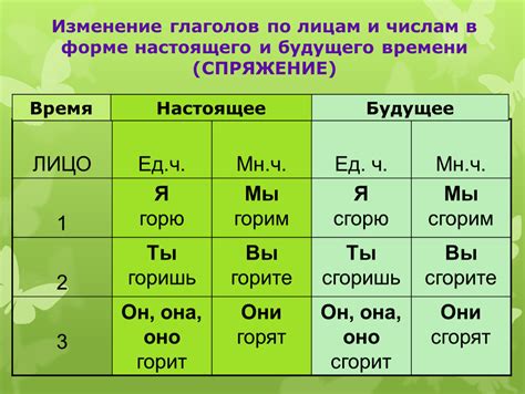 Определение лица и числа глагола 4 класс