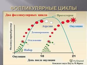 Определение наиболее благоприятного периода для удобрения