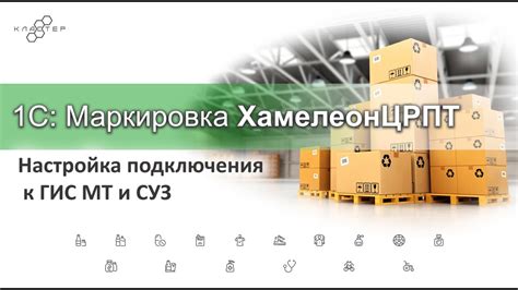 Определение необходимости подключения ГИС ЕИАСБУ