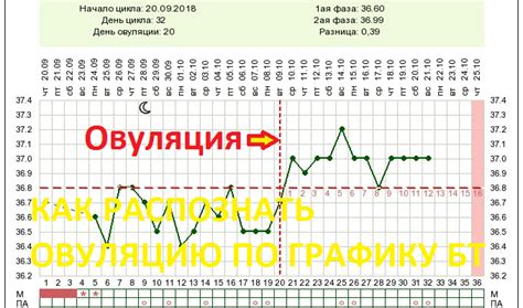 Определение овуляции на основе графика базальной температуры