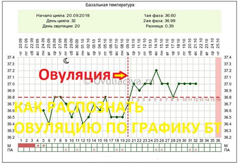 Определение овуляции по базальной температуре