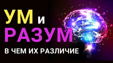 Определение понятия "разум"
