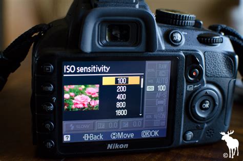 Определение понятия ISO на Nikon D3100