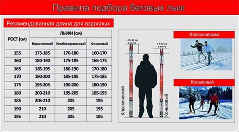 Определение правильной длины весла для сапа по росту