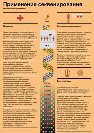 Определение происхождения: разбирайтесь в генетической паззле