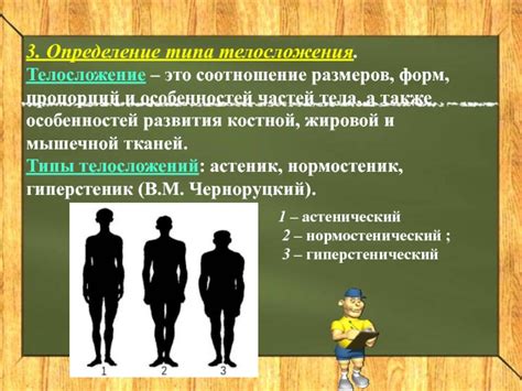 Определение пропорций и начертание основных форм