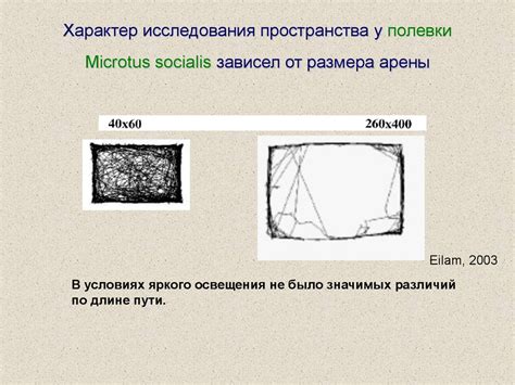 Определение размера арены