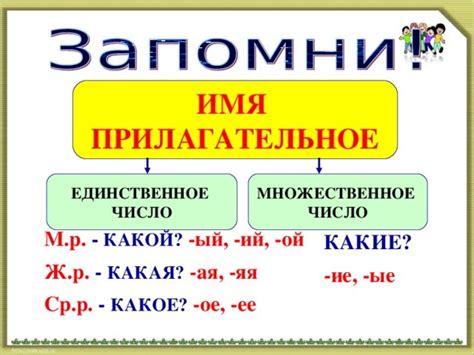 Определение рода и числа имен прилагательных