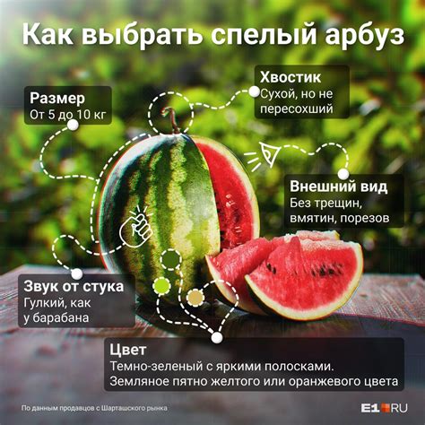 Определение спелого арбуза по звуку