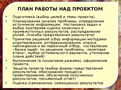 Определение стратегии проекта, распределение ролей, составление плана действий