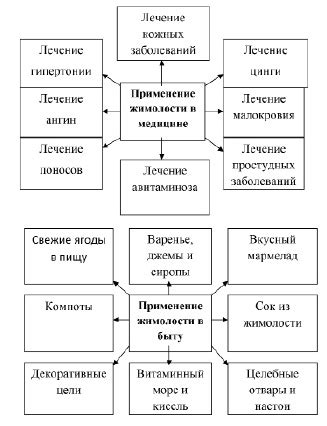 Определение фитохимического состава