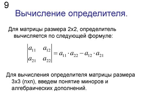 Определитель и его значимость