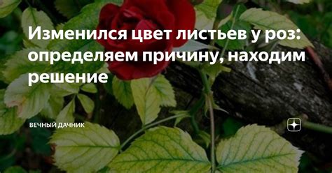 Определяем причину