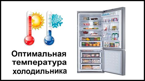Оптимальная температура витрины холодильника