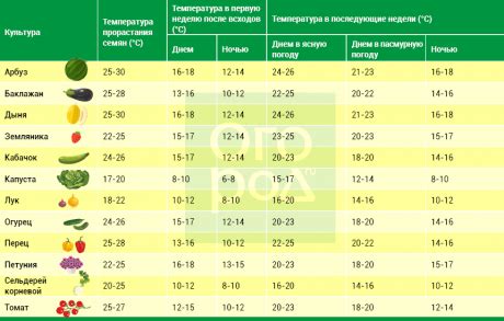 Оптимальная температура для успешного выращивания дыни